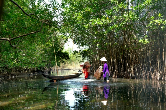 Lahan Mangrove Terbengkalai, Mengapa Tidak Budidaya Kepiting?